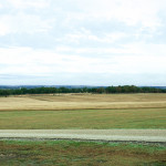 Rose Hill Manor Landscape