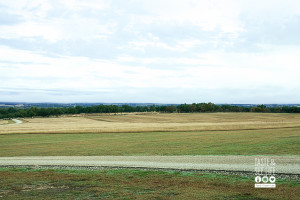 Rose Hill Manor Landscape