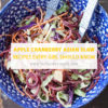 Apple Cranberry Asian Slaw MCARR